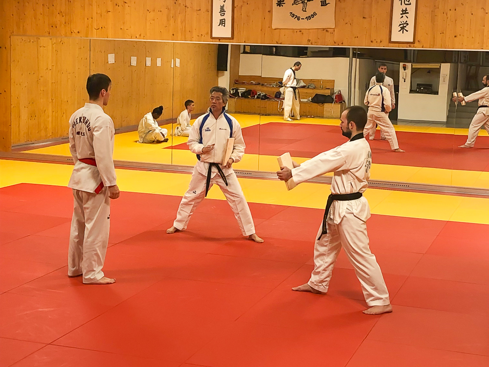 TKD Fotos 2019